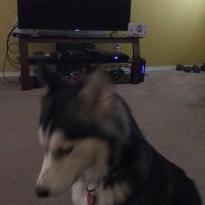 Meet your Posher, Mindy